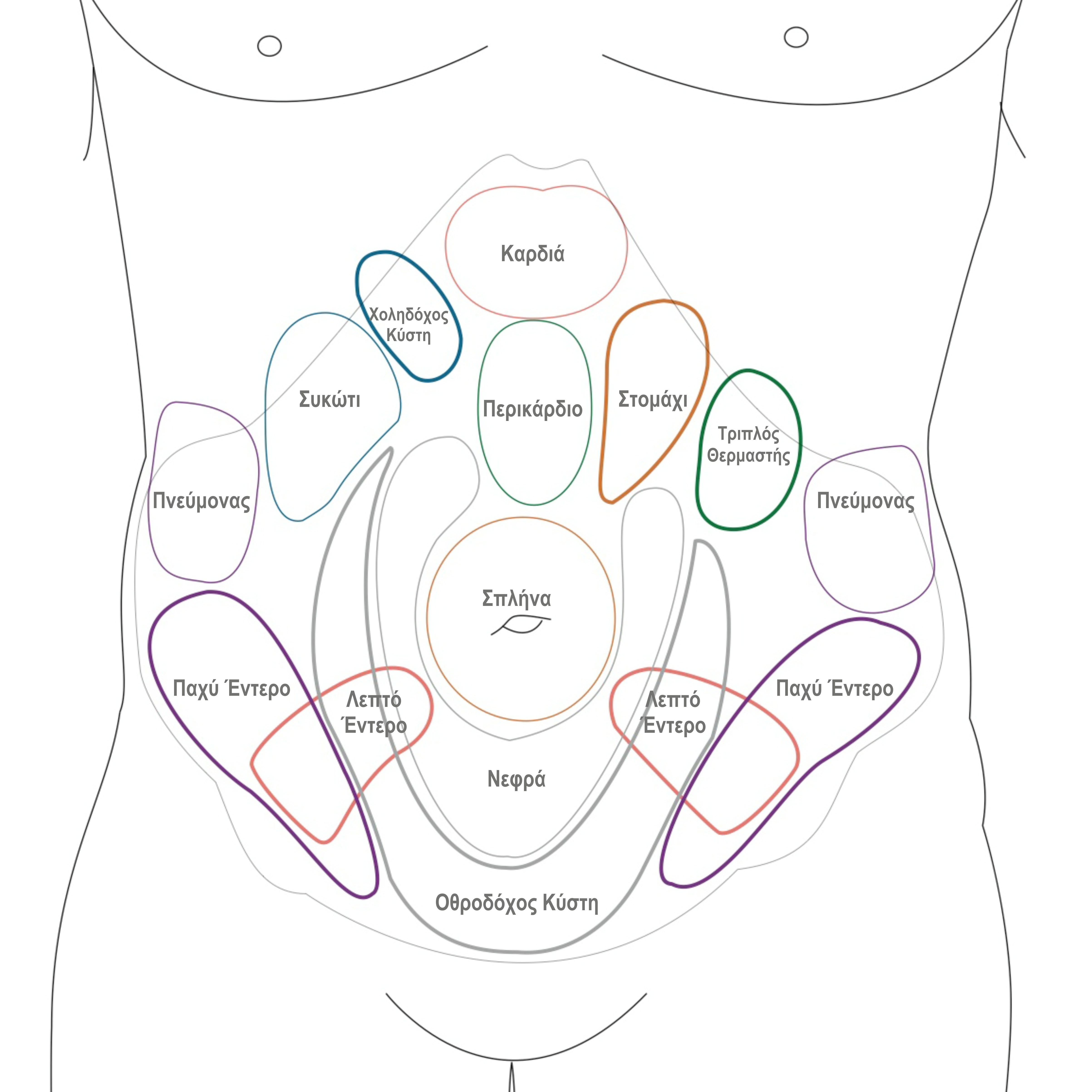 hara-diagnostic-assessment.jpg